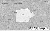 Gray 3D Map of Putnam County