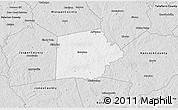 Silver Style 3D Map of Putnam County