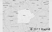 Silver Style Map of Putnam County