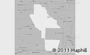Gray 3D Map of Ware County