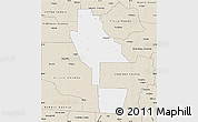 Classic Style Map of Ware County