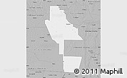 Gray Map of Ware County