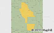 Savanna Style Map of Ware County