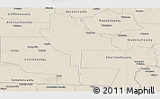 Shaded Relief Panoramic Map of Ware County