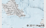 Silver Style Map of ZIP code 96795