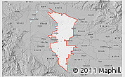 Gray 3D Map of ZIP code 83607