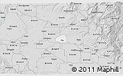 Silver Style 3D Map of ZIP code 83669