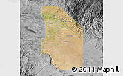 Satellite Map of Ada County, desaturated