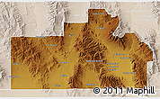 Physical 3D Map of Oneida County, lighten