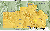 Savanna Style 3D Map of Oneida County