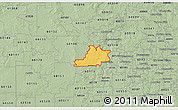 Savanna Style 3D Map of ZIP code 60123