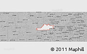 Gray Panoramic Map of ZIP code 60123