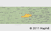 Savanna Style Panoramic Map of ZIP code 60123