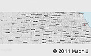 Silver Style Panoramic Map of ZIP code 60532