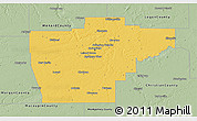 Savanna Style 3D Map of Sangamon County