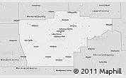Silver Style 3D Map of Sangamon County