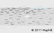 Silver Style Panoramic Map of ZIP code 46303