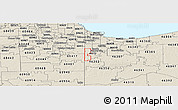 Shaded Relief Panoramic Map of ZIP code 46311