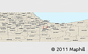 Shaded Relief Panoramic Map of ZIP code 46322