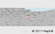 Gray Panoramic Map of ZIP code 46373