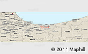 Shaded Relief Panoramic Map of ZIP code 46405