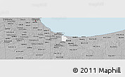 Gray Panoramic Map of ZIP code 46406