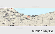 Shaded Relief Panoramic Map of ZIP code 46407
