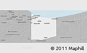 Gray Panoramic Map of Lake County