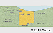 Savanna Style Panoramic Map of Lake County