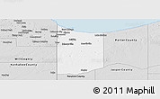 Silver Style Panoramic Map of Lake County