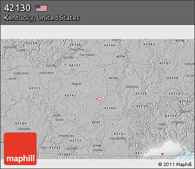 Gray 3D Map of ZIP Code 42130
