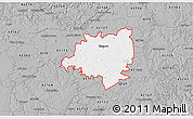 Gray 3D Map of ZIP code 42141