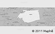 Gray Panoramic Map of Barren County