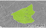 Physical 3D Map of Hopkins County, desaturated