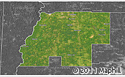 Satellite 3D Map of Beauregard Parish, desaturated