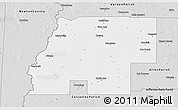 Silver Style 3D Map of Beauregard Parish