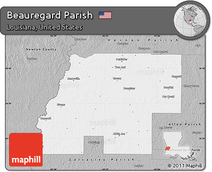 Gray Map of Beauregard Parish