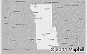Gray 3D Map of Webster Parish
