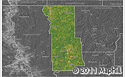 Satellite 3D Map of Webster Parish, desaturated
