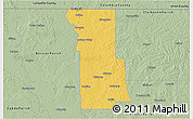 Savanna Style 3D Map of Webster Parish