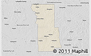Shaded Relief 3D Map of Webster Parish, desaturated