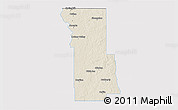 Shaded Relief 3D Map of Webster Parish, single color outside