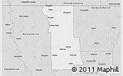 Silver Style 3D Map of Webster Parish