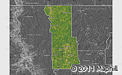 Satellite Map of Webster Parish, desaturated