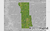 Satellite Map of Webster Parish, lighten, desaturated