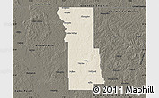 Shaded Relief Map of Webster Parish, darken