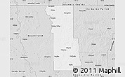 Silver Style Map of Webster Parish