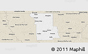 Classic Style Panoramic Map of Webster Parish