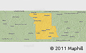 Savanna Style Panoramic Map of Webster Parish