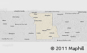 Shaded Relief Panoramic Map of Webster Parish, desaturated